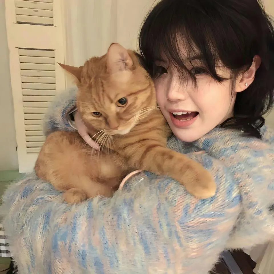 电视拍手者